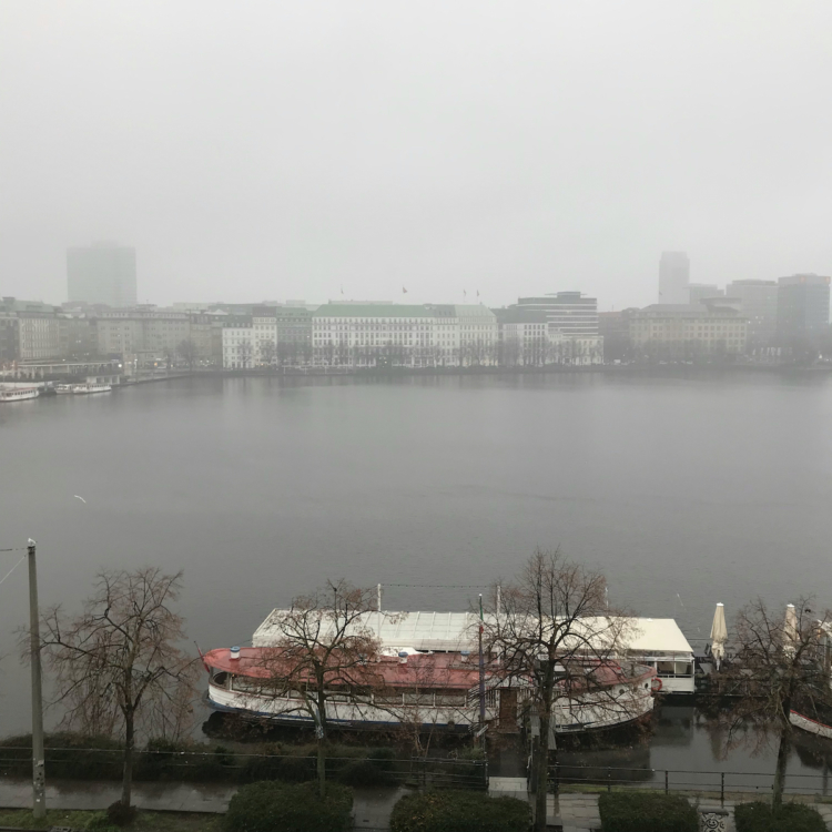 Alster Hamburg 8. Januar 2020