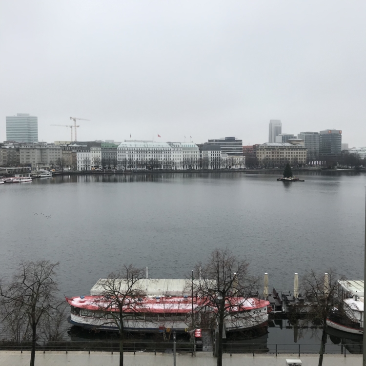 Alster Hamburg 7. Januar 2021