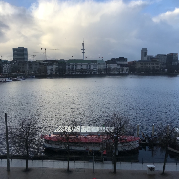 Alster Hamburg 12. Januar 2021
