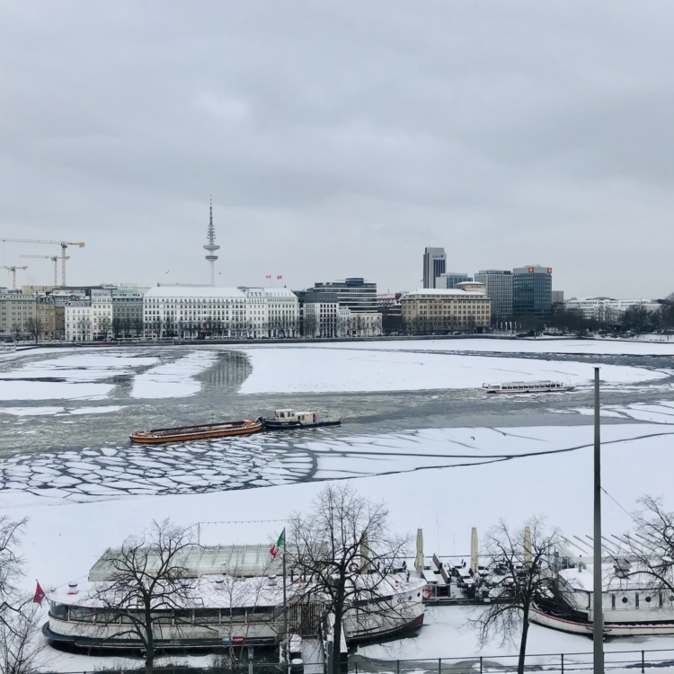 Alster Hamburg 9. Februar 2021